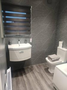 a bathroom with a sink and a toilet at Beautiful MASONS HIDEAWAY studio apartment in Bridgend