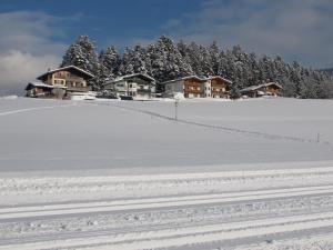Haus Panoramablick talvel
