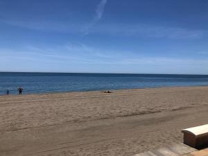 una spiaggia con una persona e un cane e l'oceano di Ático en la playa con terraza privada a Cala del Moral