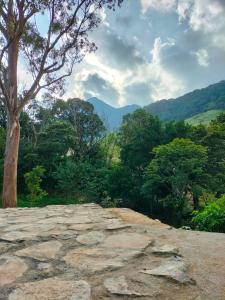 vistas a una montaña con árboles y rocas en Dumbara Breeze, en Hunnasgiriya