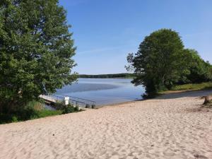 a sandy beach with trees and a body of water at Apartment at the Vilzsee, Mirow in Diemitz