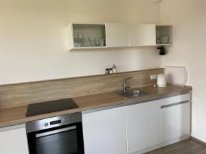Dapur atau dapur kecil di Apartmán v LakeParku