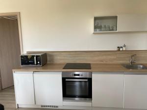 Dapur atau dapur kecil di Apartmán v LakeParku
