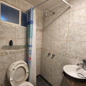 サン・ヴィセンテにあるHotel y Casa de Campo Oasis Campero - Ezeiza Aeropuerto -San Vicenteのトイレと洗面台のあるバスルーム