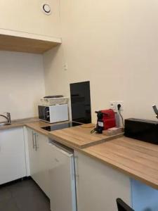 a kitchen with a counter top with a microwave at Le Petit Balzac-cosy 2pers-Villeurbanne in Villeurbanne