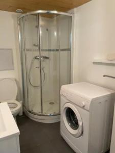 La salle de bains est pourvue d'une douche et d'un lave-linge. dans l'établissement Le Petit Balzac-cosy 2pers-Villeurbanne, à Villeurbanne