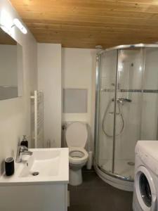 La salle de bains est pourvue d'une douche, de toilettes et d'un lavabo. dans l'établissement Le Petit Balzac-cosy 2pers-Villeurbanne, à Villeurbanne