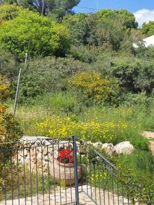 Zahrada ubytování Hararit View נוף הררית