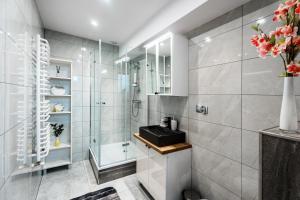 a bathroom with a shower and a toilet and a sink at WILLA DASZÓWKA in Daszówka +45 photos
