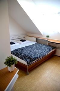 1 Schlafzimmer mit 2 Betten in einem Zimmer in der Unterkunft Penzion Pasohlávky in Pasohlávky