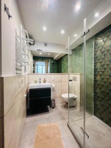 ein Bad mit einer Dusche, einem Waschbecken und einem WC in der Unterkunft Mare e Monti Apartments in Kattowitz