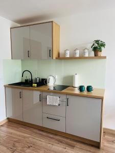 eine Küche mit einer Spüle und einer Arbeitsplatte in der Unterkunft Mare e Monti Apartments in Kattowitz