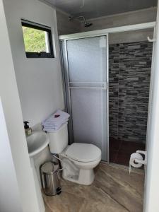 a small bathroom with a toilet and a shower at Cabañas Bellavista La Vega in La Vega
