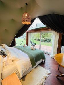 a bedroom with a bed and a large window at Don Aniceto Lodges & Glamping in Luján