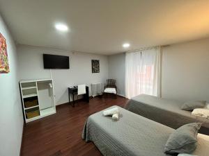 TV a/nebo společenská místnost v ubytování Hostal ARS