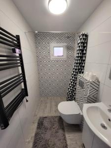 ein Bad mit einem WC und einem Waschbecken in der Unterkunft Apartament Kasztanowa 2 in Mosty