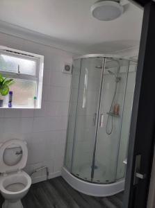 a bathroom with a shower and a toilet at The Ebs Lodge 