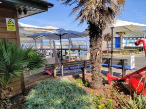 a patio with two benches and an umbrella at Cleve Court Hotel in Paignton