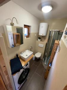 a bathroom with a sink and a shower and a toilet at Domki Gościniec Bobolin in Bobolin