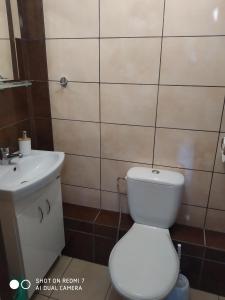 a bathroom with a white toilet and a sink at Konik Bar i Pokoje Gościnne in Kadyny