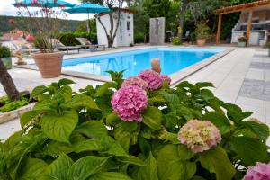 uma planta com flores cor-de-rosa em frente a uma piscina em Villa Kristina Rab em Supetarska Draga