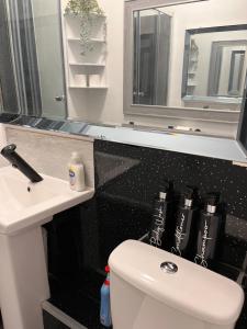 uma casa de banho com WC, lavatório e espelho em Sandy Toes : Relaxing Contemporary Victorian Apartment 10 mins to Beach em Torquay