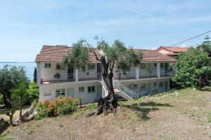 um edifício com uma árvore em frente em Reana Elegant Apartments em Barbati