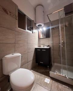 a bathroom with a toilet and a shower and a sink at Mano’s House Preveza 2 in Preveza