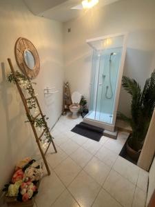 a bathroom with a toilet and a glass shower at Chez Samantha au cœur d'Azay in Azay-le-Rideau