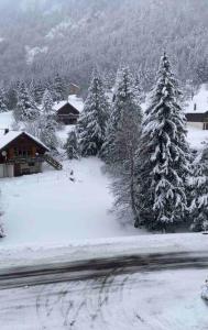 a group of trees covered in snow next to a house at Appartement Centre du village ALPE DU GRAND SERRE in La Morte