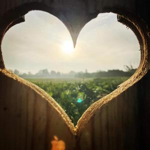 okno w kształcie serca z widokiem na pole w obiekcie Krastmslas w mieście Smaltāni