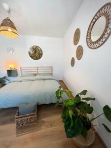 拉爾的住宿－“Sweet boho penthouse” in city center，一间卧室配有一张床和盆栽植物