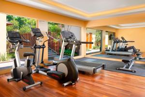 Fitness centrum a/nebo fitness zařízení v ubytování Element Bali Ubud