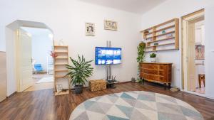 Family Holidays في براشوف: غرفة معيشة فيها تلفزيون وسجادة