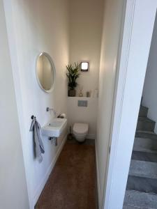 ein Badezimmer mit einem WC, einem Waschbecken und einem Spiegel in der Unterkunft Penthouse In the Center of Antwerp With private Elevator. in Antwerpen