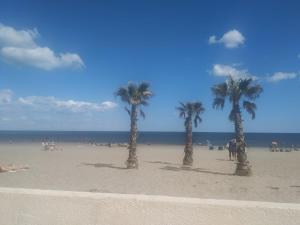 Príroda v okolí apartmánu