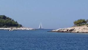 Galeriebild der Unterkunft Apartmani Anna in Rogoznica