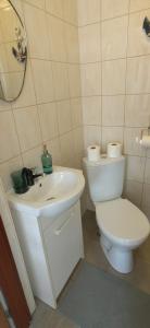 Un baño con un inodoro blanco y un lavabo. en Siedlisko PoMaLeńku, en Żarnowska 55 fotos más