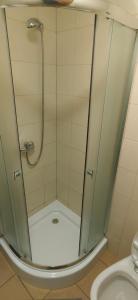 un baño con ducha y WC en Siedlisko PoMaLeńku, en Żarnowska