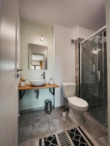 a bathroom with a toilet and a sink and a shower at Pensiunea Oacheș in Sălaşu de Sus