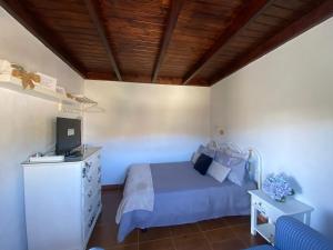 1 dormitorio con 1 cama y escritorio con TV en Juncalillo House, en Gáldar