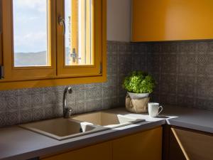 a kitchen with a sink and a window and a plant at Bella Resorts Andros in Andros