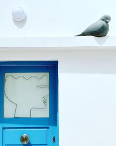 a bird sitting on a shelf next to a blue door at Cyclops House in Serifos Chora