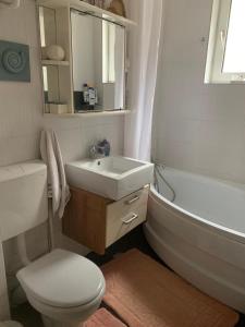 uma casa de banho com um WC, um lavatório e uma banheira em Apartament 3 camere Joy em Ocna-Mureşului