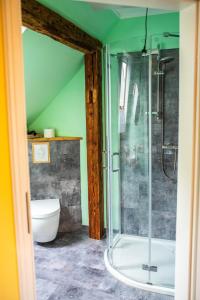 a bathroom with a glass shower and a toilet at Falkenwohnung in Gommern