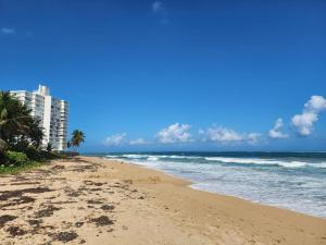 a beach with palm trees and a tall building at Elegant 1-Br Penthouse in Condado! in San Juan