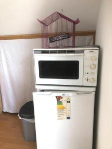 a microwave sitting on top of a refrigerator at Pod-Inn 坡顶公寓-文化谷仓 in Kuppenheim