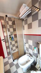 シルミオーネにあるAppartamenti Adriana Sirmioneのバスルーム(シャワー、トイレ、シンク付)