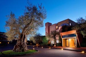 een grote boom voor een gebouw bij Four Points by Sheraton Siena in Siena