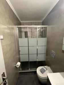 a bathroom with a shower and a toilet in it at emiliapartments in Skála Sikiás